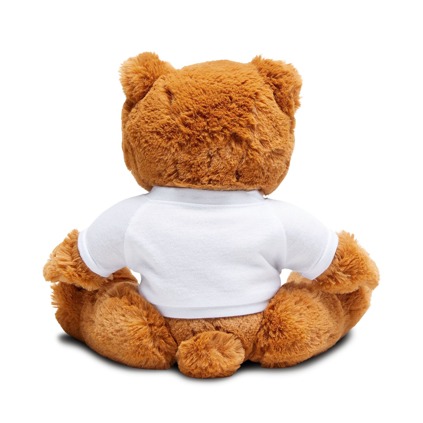 Cuddle Buddy Teddy Bear, Personalized Gift, Plush Toy, Birthday Surprise, Baby Shower Gift, Stuffed Animal with T-Shirt